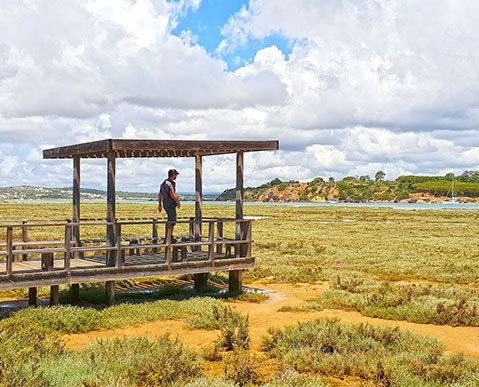 nature-alvor