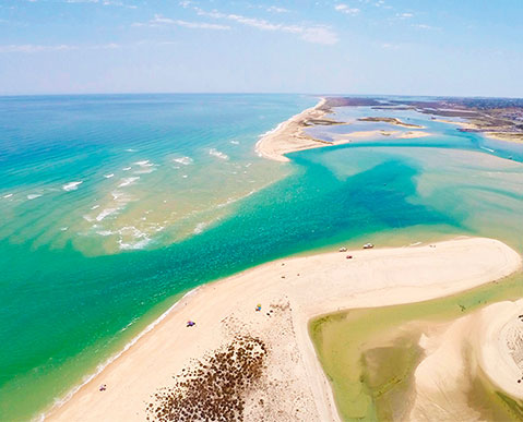 nature-ria-formosa