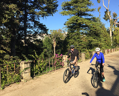 outdoor-activities-bike